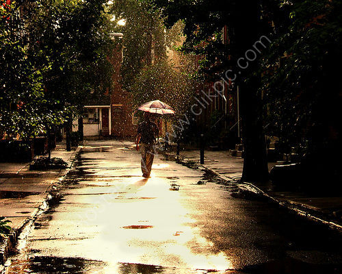 Sun Shower