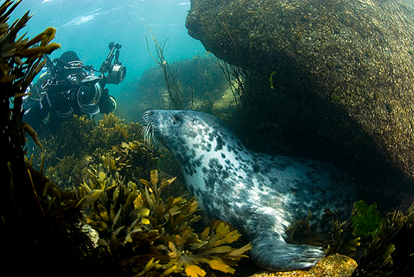 Picture of Robert Bailey by Arthur Kingdon, Scilly Isles, UK 