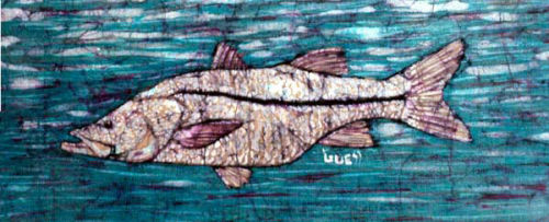A Snook Naturally