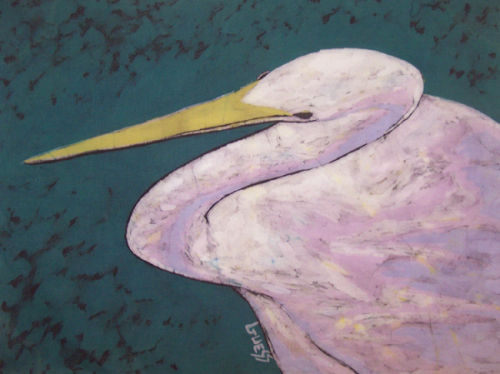 Egret Close Up