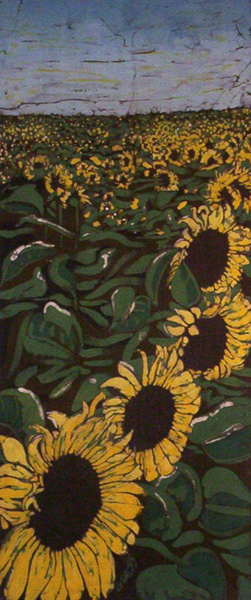Field of Sunflowers