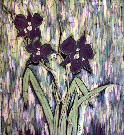 Iris