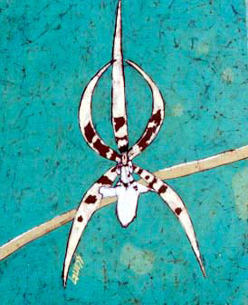 Ghost Orchid