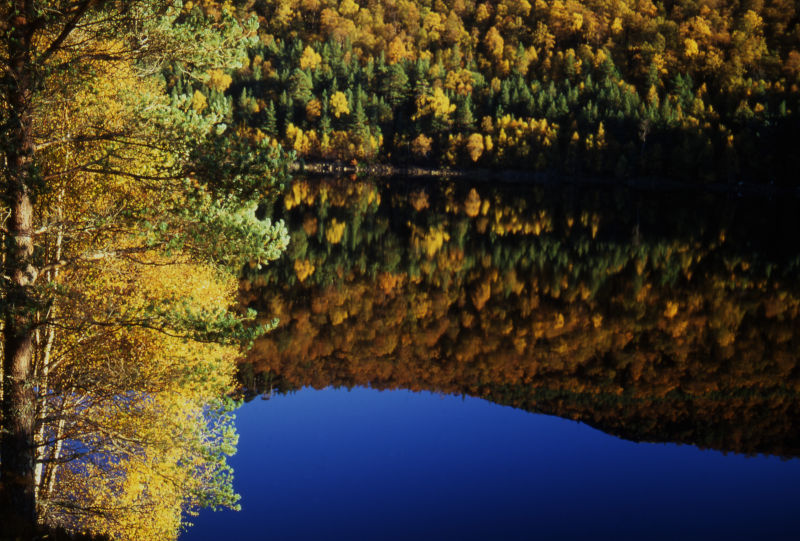 Autumn Reflections