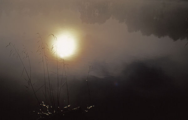 Autumns Mist