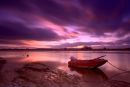Topsham_16