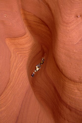 Sidmouth_Cliffs_Gulley