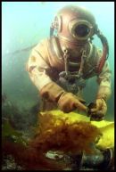 STANDARD DIVING 8