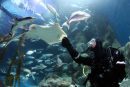 NMA ATLANTIC REEF 6