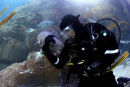 NMA ATLANTIC REEF 8