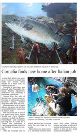 New arrival at National Marine Aquarium