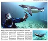 Diving with Penguins