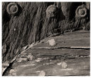 rusty