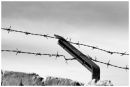 IMG 7862