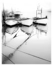 boats & ropes
