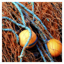 orange balls