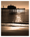 amber shore