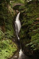 Aira Force 