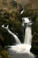 Twin Pecca Falls