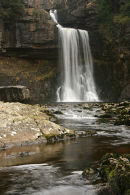 Thornton Force