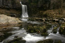 Thornton Force