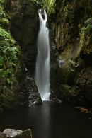 Stanley Force