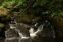 Birker Beck