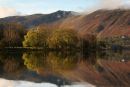 Autumn Trees