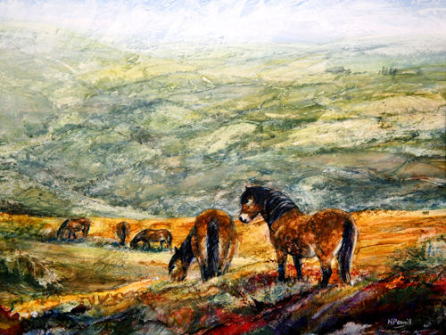 Exmoor Ponies on Winsford Hill
