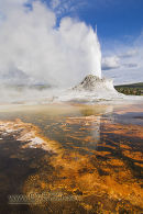 Castle Geyser erupting, Yellowstone