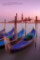 Gondolas moored in St Marks basin, Venice