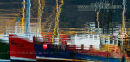 Ullapool Reflections