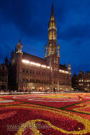 Brussels Flower Carpet, Belgium