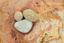 Pebbles