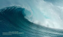 Carrapatiera Surf, Portugal