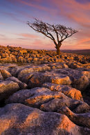 Twistleton Scar, Yorkshire Dales