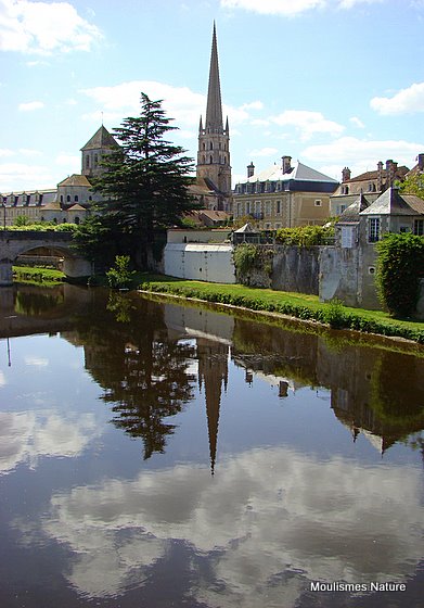 La Vienne � St Savin