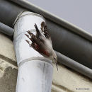 Wallcreeper ad-winter