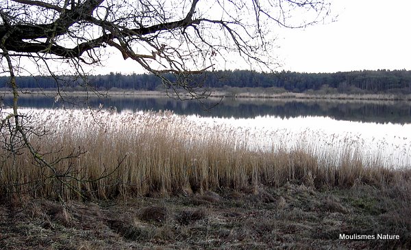 Saulge, Etang de Beaufour