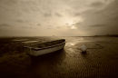 Low tide at Hampton (1026)