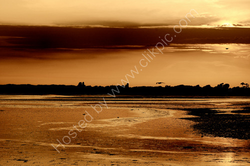 Pagham (1399)