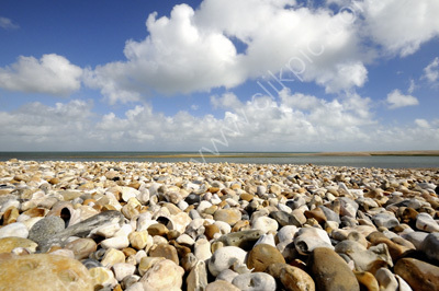 Pagham (1698)