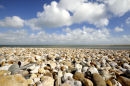 Pagham (1698)