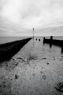 Footprint (0706)