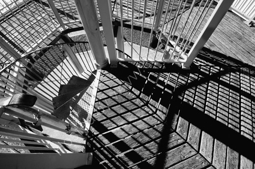 Neptunes Arm (3603 B+W)