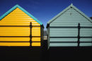 Shadows (8785)