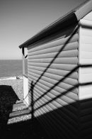 Shadows (8789)