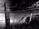 Reculver Fence (9002s)