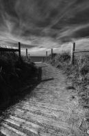 B&W West Beach (1556 B+W)