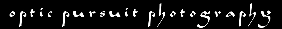 Optic Pursuit Photography